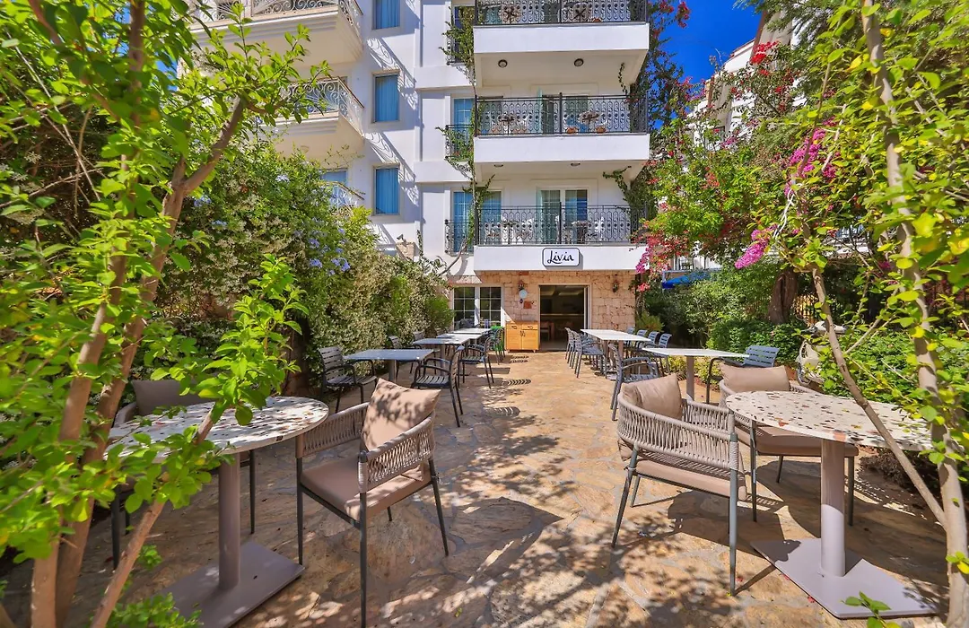 Livia Hotel-1