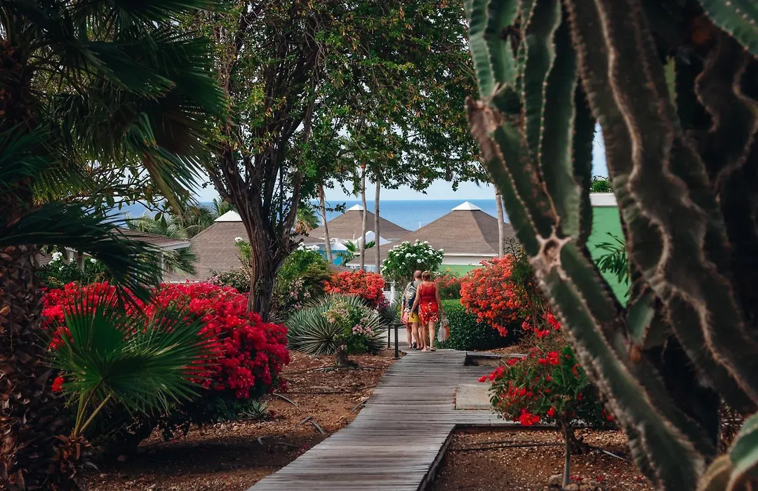 Chogogo Dive & Beach Resort Curacao-1