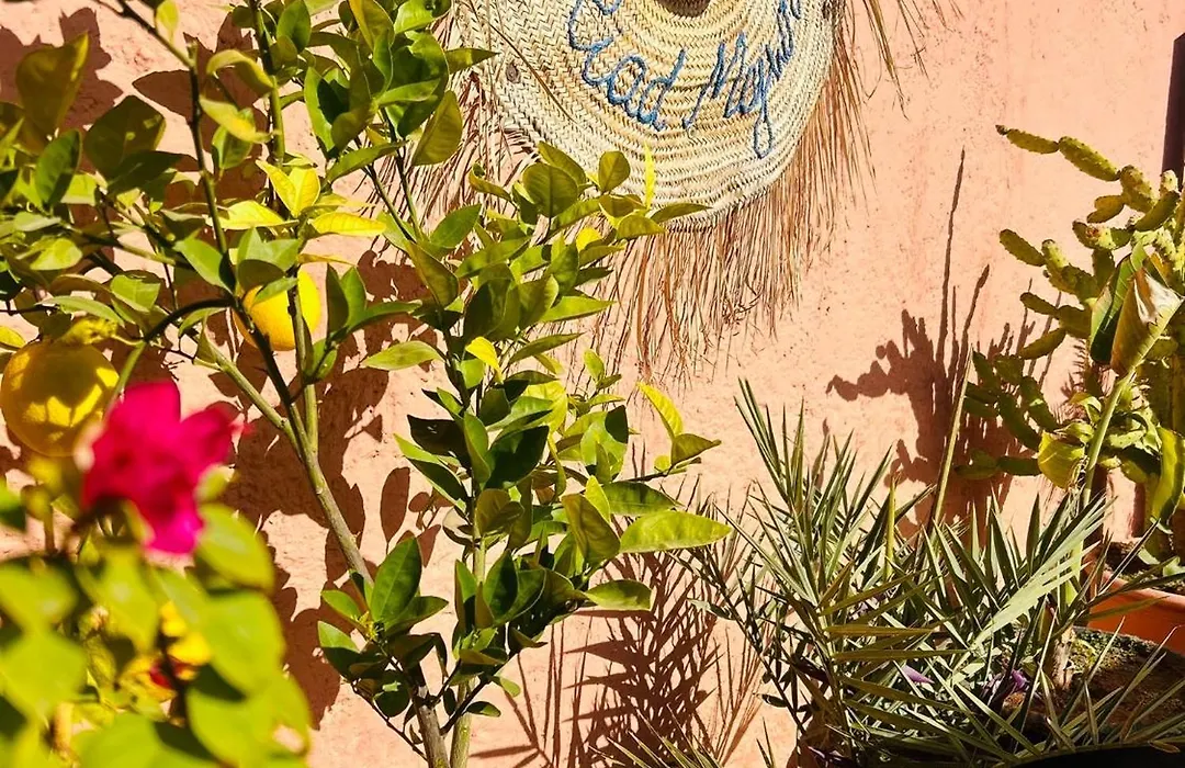 Riad Majwril-1