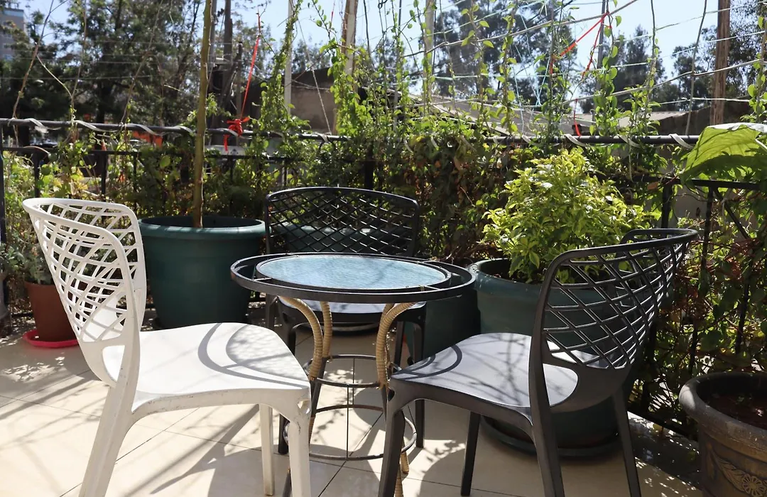 Blue Birds International Hotel-1