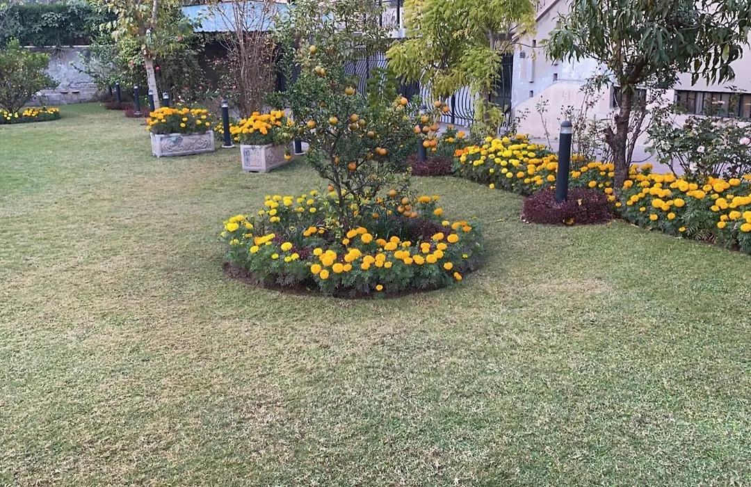 La Maison Islamabad-1
