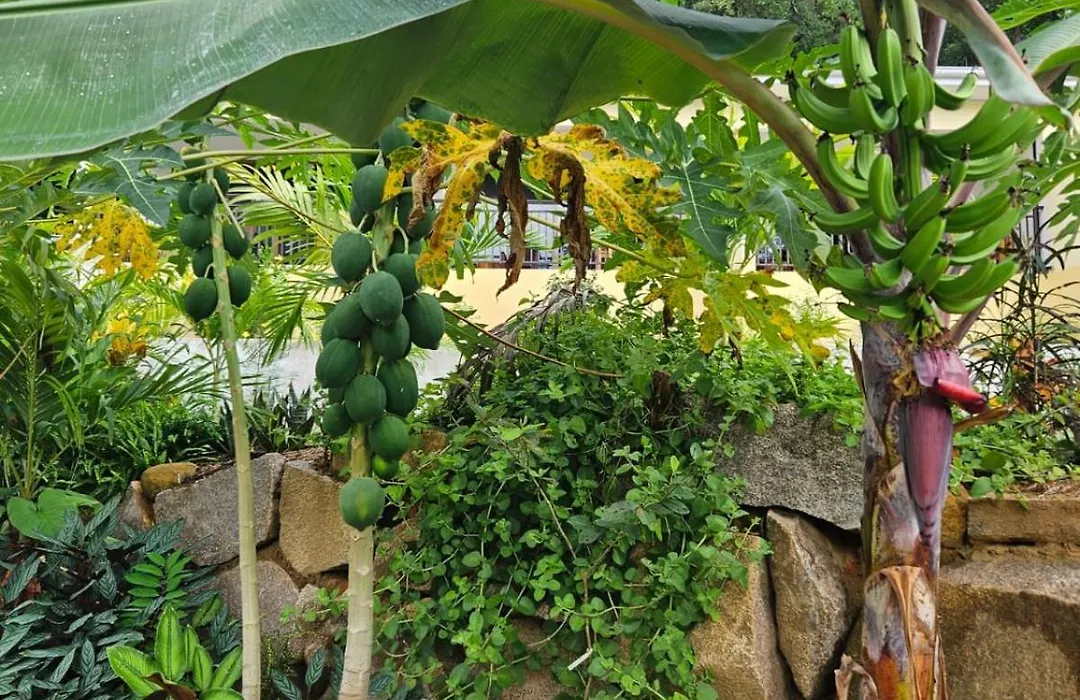 Solea Self Catering-1