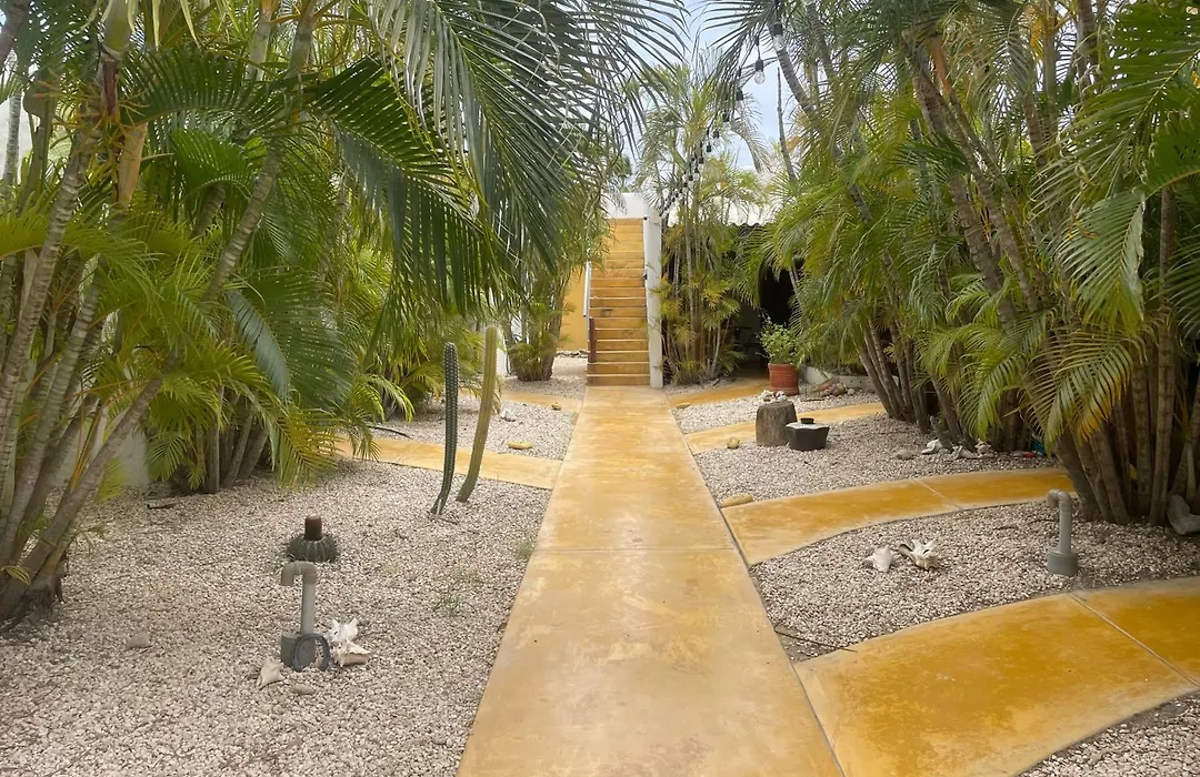 The Dive Hut - Boutique Apartments-1