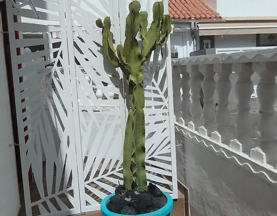 Casa Mamre-1