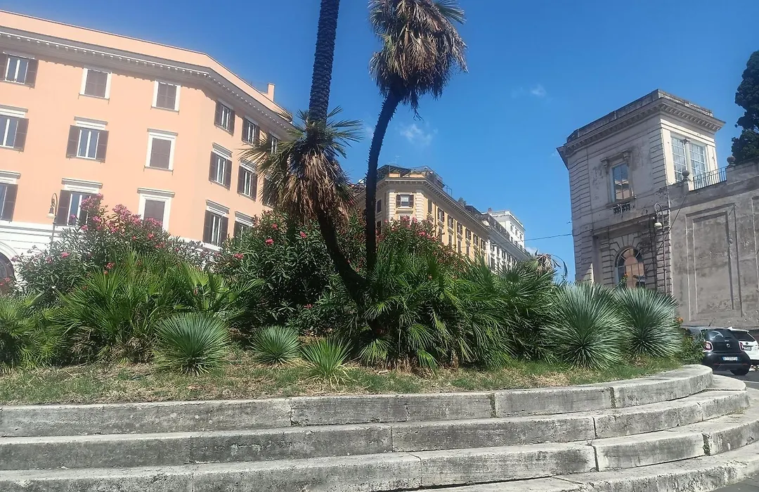 Sweet Dreams Roma-1