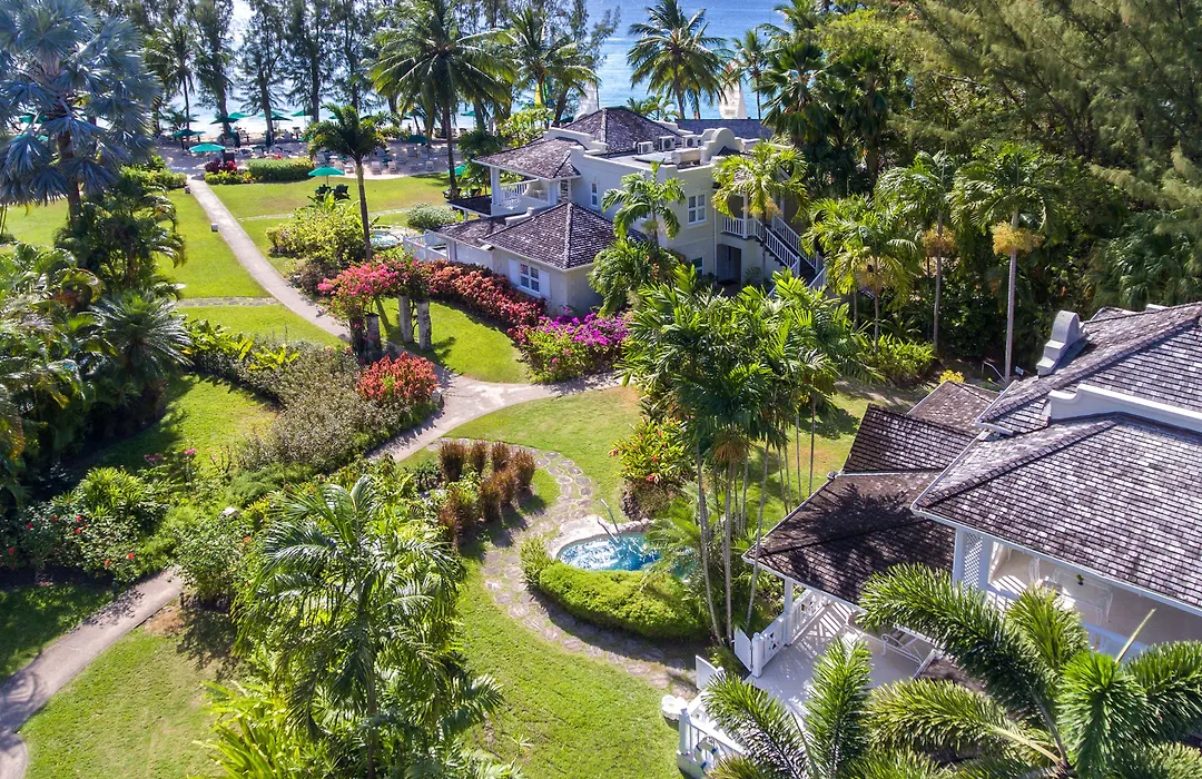 Coral Reef Club-1