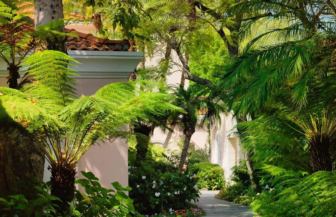 Hotel Bel-Air - Dorchester Collection-1