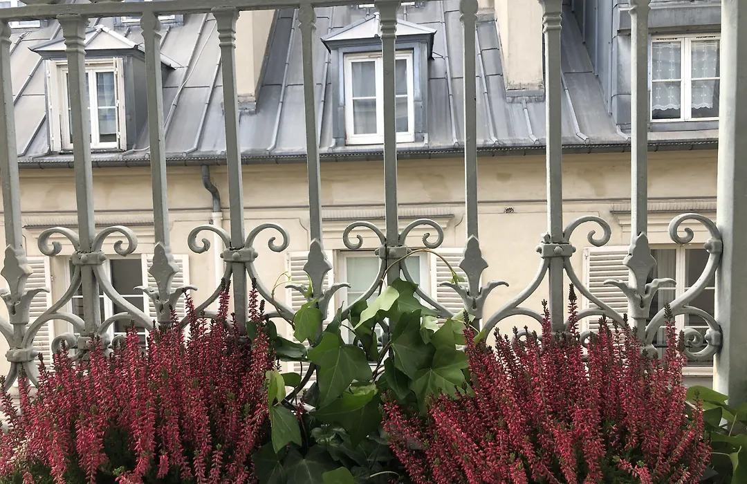 Hotel Corona -Rodier--1