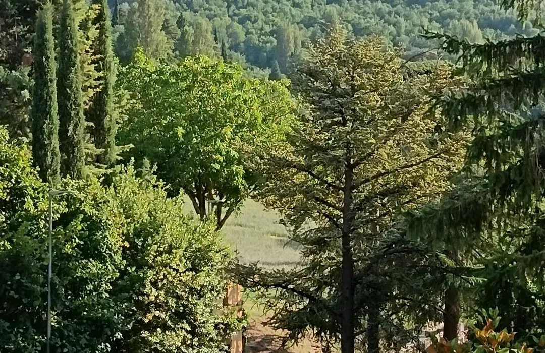 Cortemaggio-1
