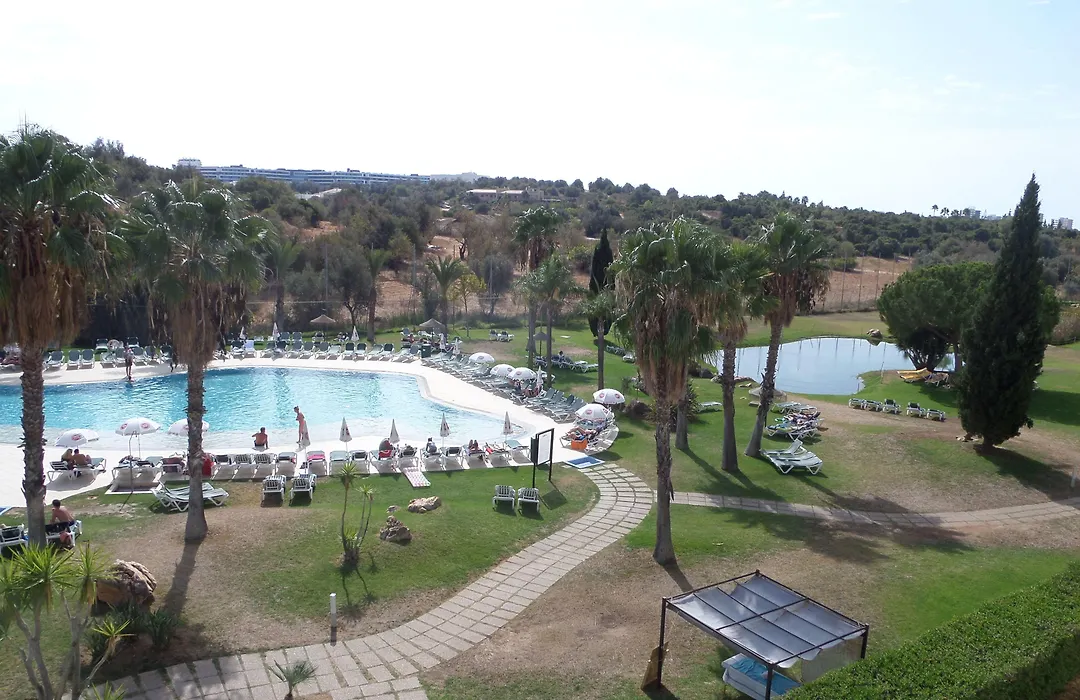 Yellow Alvor Garden-1