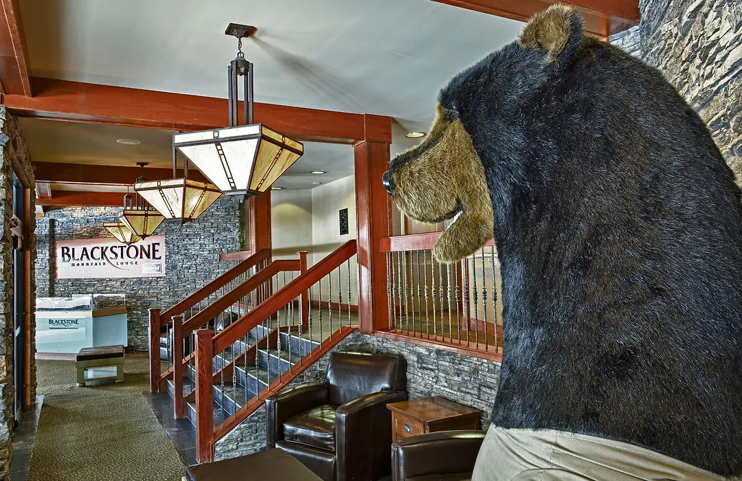 Blackstone Mountain Lodge By Clique-1