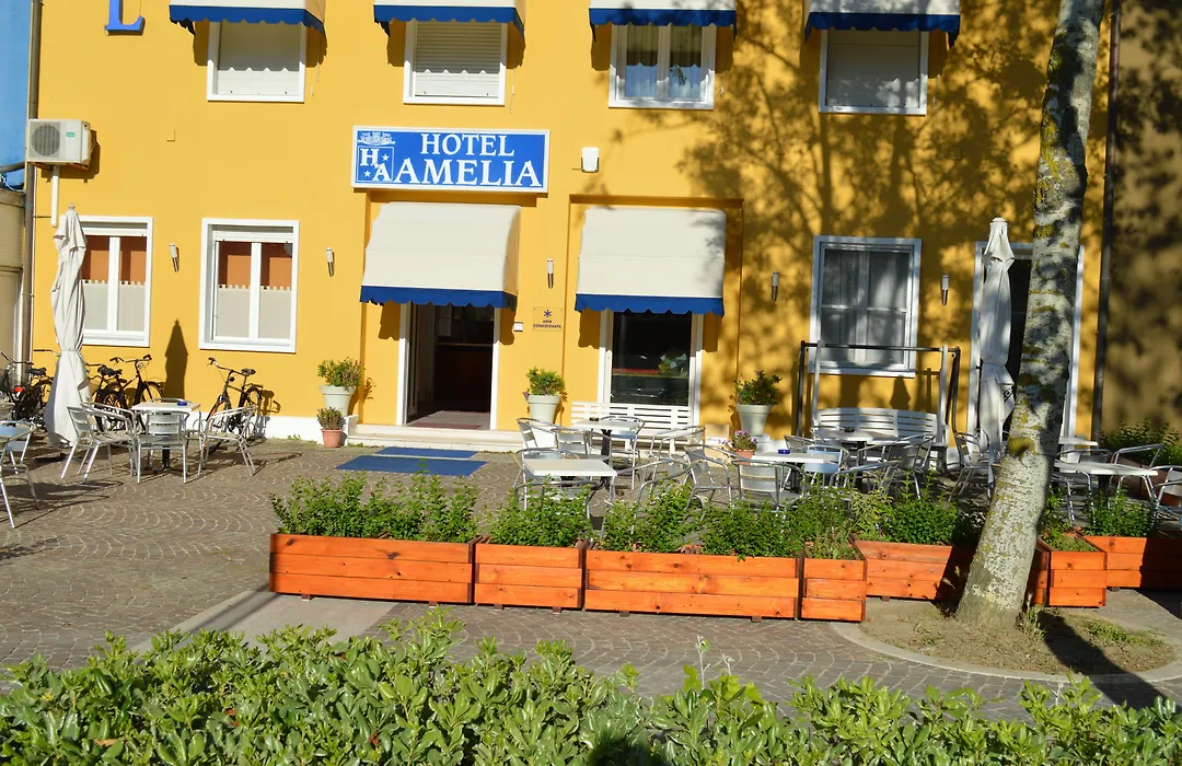 Hotel Amelia-1