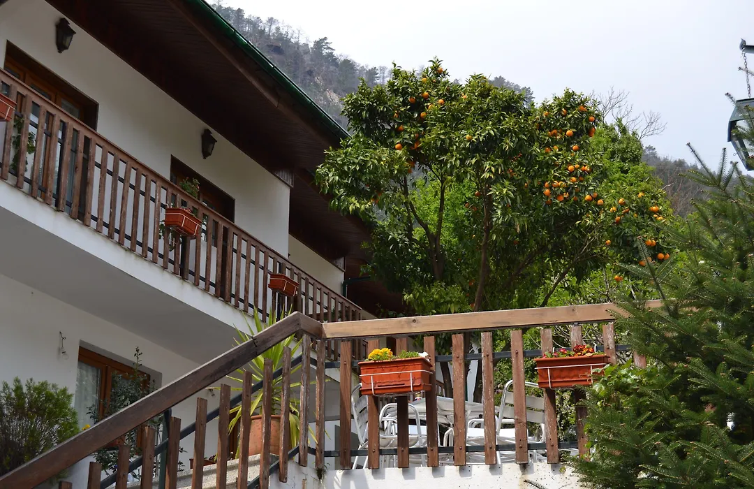 Hotel Carvalho Araujo-1