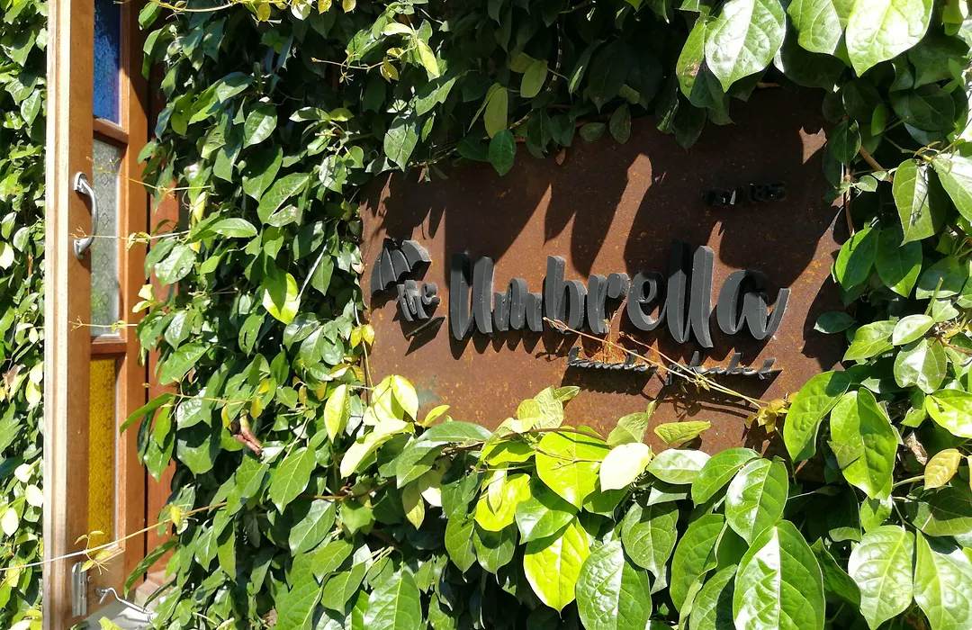 The Umbrella House-1