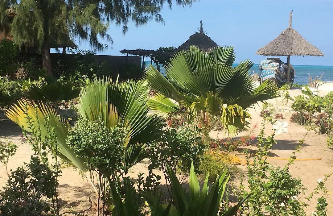 Driftwood Beach Lodge-1