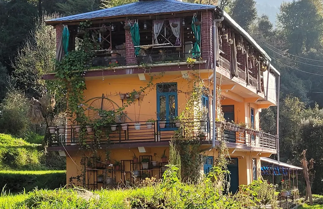 White Rabbit Guest House-1