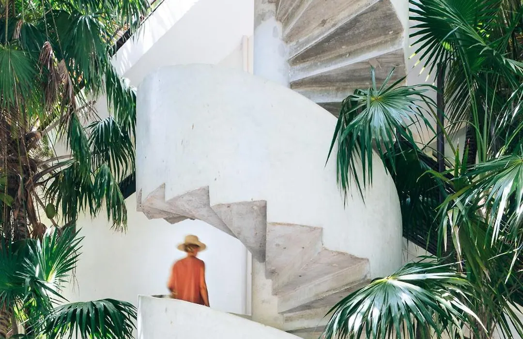 Olas Tulum-1