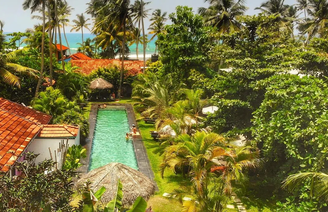 Turtle Eco Beach-1