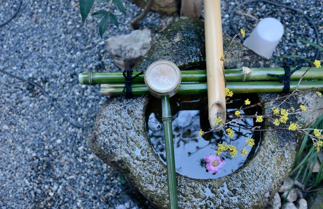 Mitsuki Kyoto-1