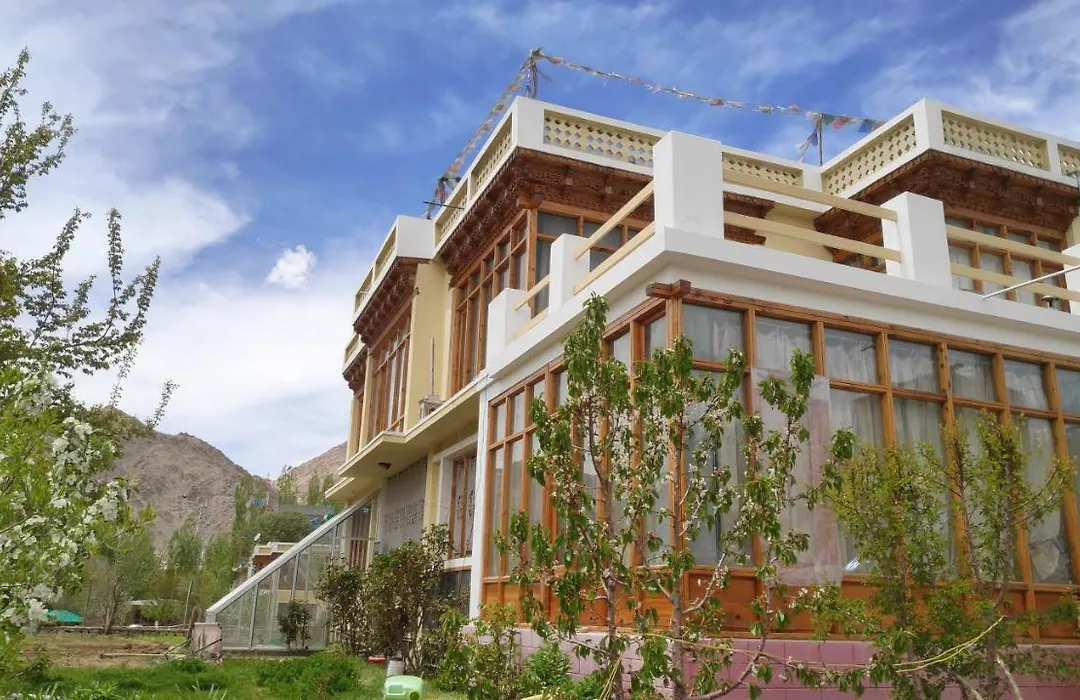 The Willow House-1