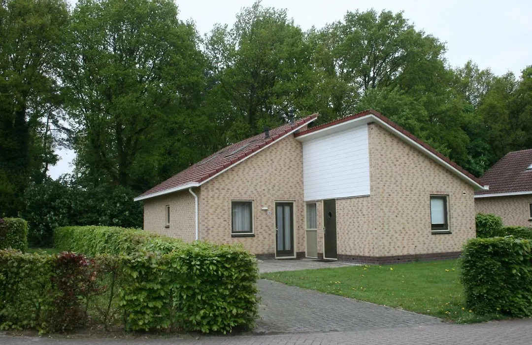 Lindenbergh Ommen-1