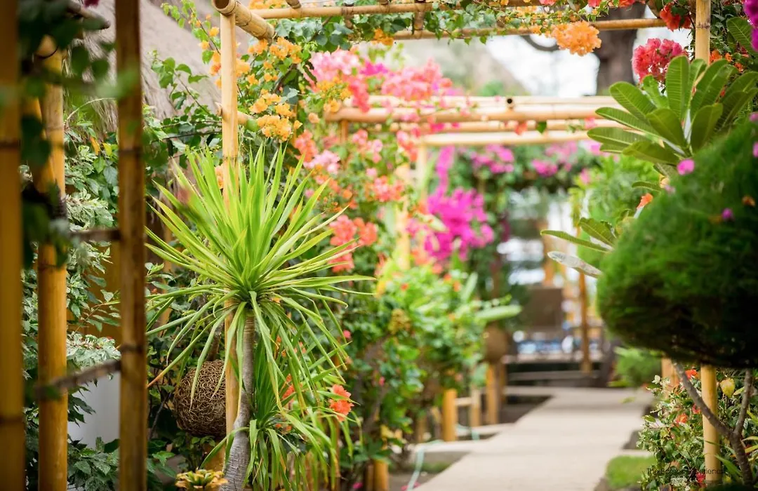 Bambu Cottages-1