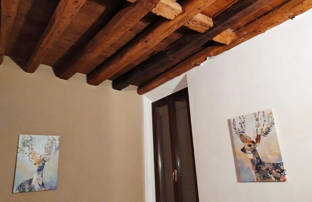 Carducci 49-1