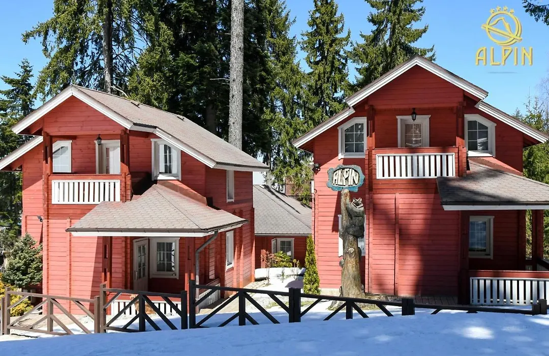 Alpin Borovets, Алпин Боровец-1