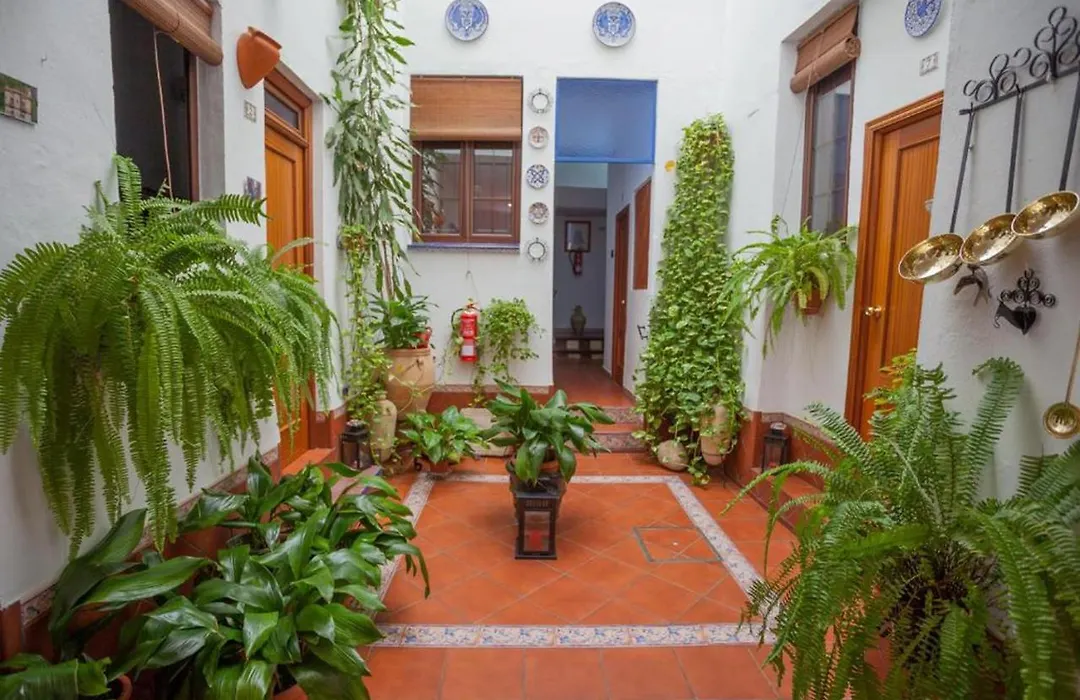 Pension San Pancracio-1
