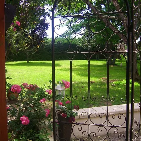 Cote Sud-3