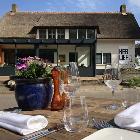 Villa BlauwHemel Diever-3