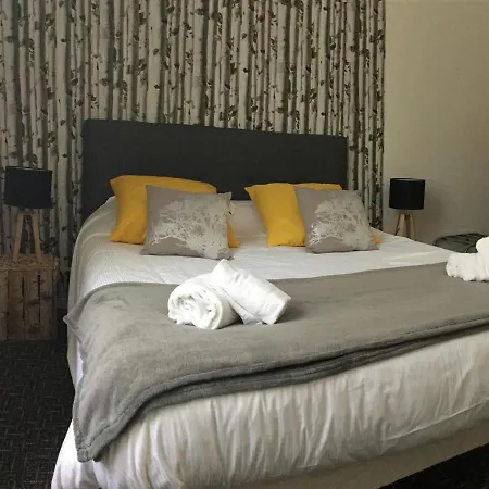 Hotel Regina-2