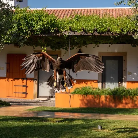Vila Gale Collection Alter Real - Resort Equestre, Conference & Spa-3