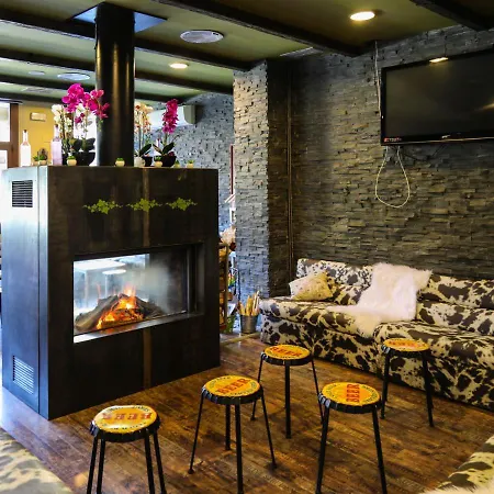 Hotel Vall D'Aneu-2