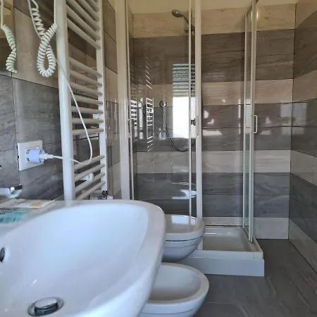 New Park Hotel-3