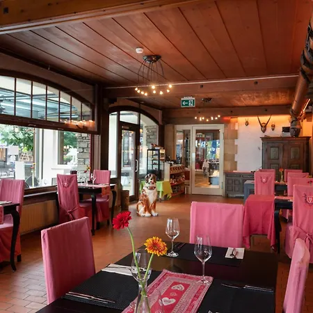 Hotel Krebs Interlaken-2