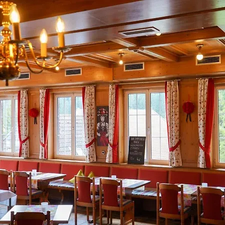 Hotel Hirschen-3