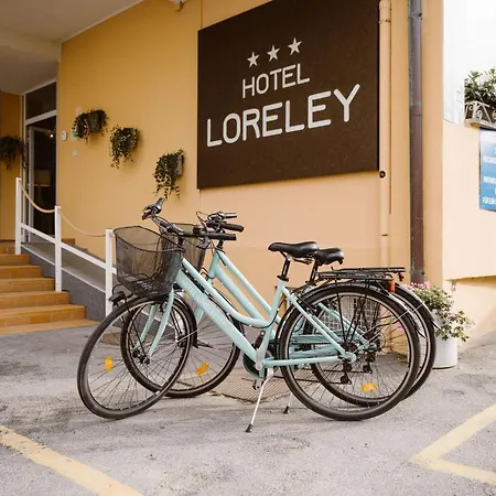 Hotel Loreley-2