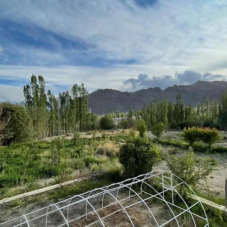 The Willow House-3