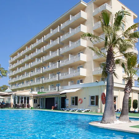 Grupotel Amapola-3