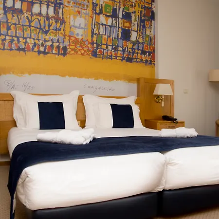 Hotel Rainha D. Amelia, Arts & Leisure-2