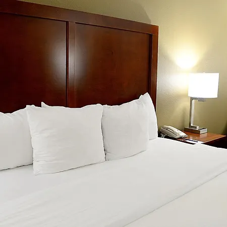 Comfort Inn University Durham - Chapel Hill-3