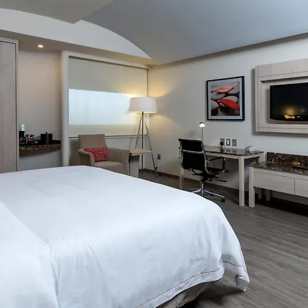 Holiday Inn Express Mexico- Toreo By Ihg-2