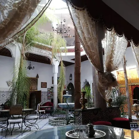Riad Chennaoui-2