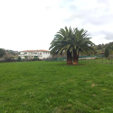 Las Palmeras-3
