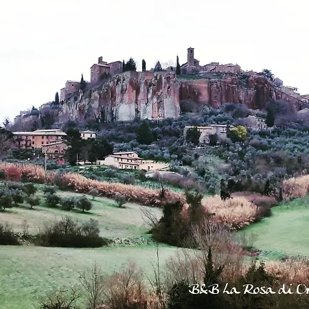 La Rosa di Orvieto-3