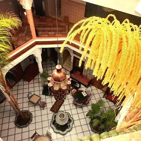 Riad Chennaoui-3