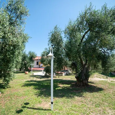 Coppola Rossa Relax-3