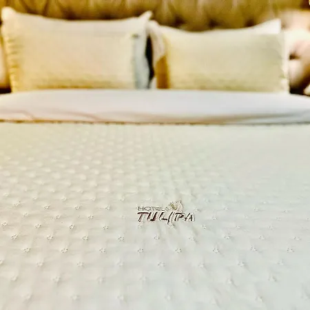 Hotel Tulipa-2