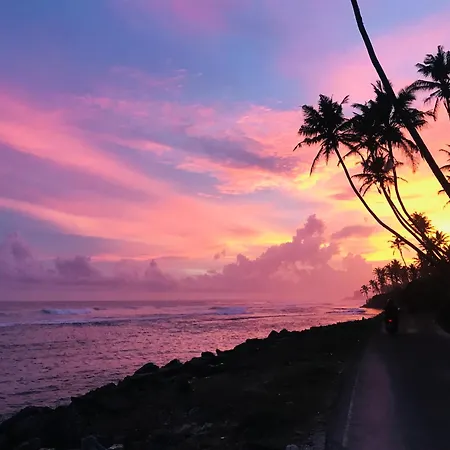 Turtle Eco Beach-2